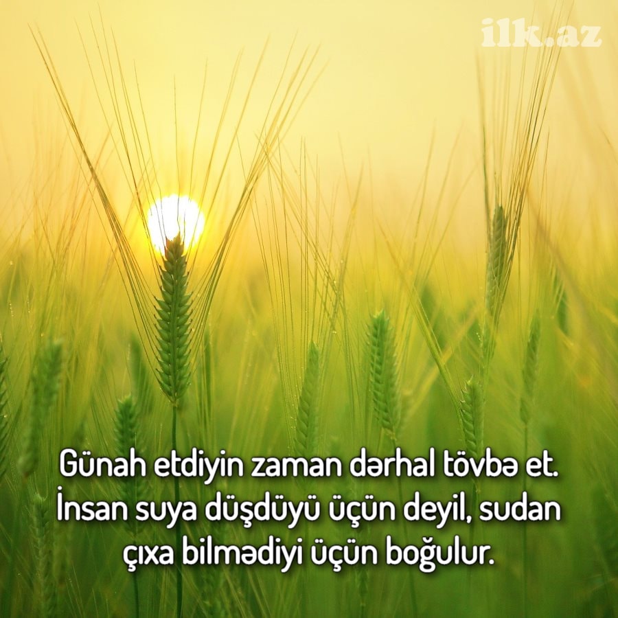 Cəlaləddin Rumi sözləri