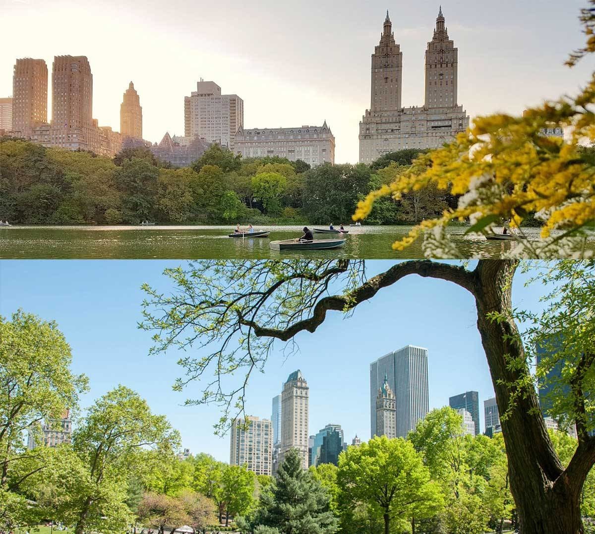 Central Park