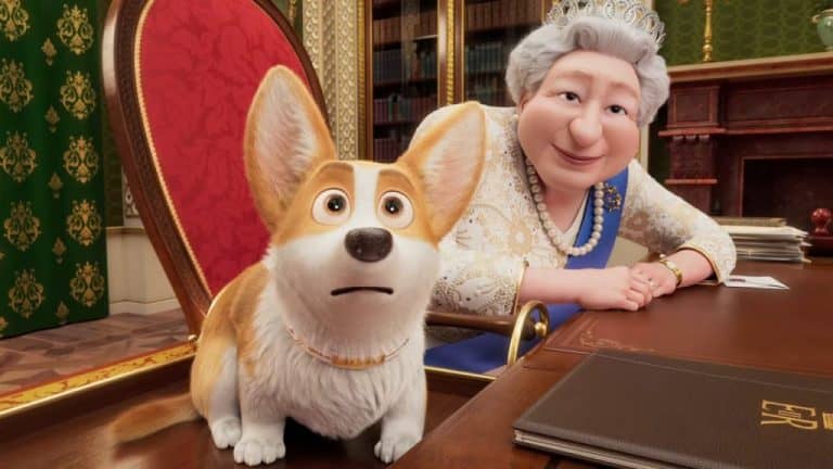 Corgi