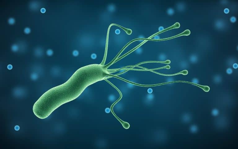 Helicobacter Pylori nədir