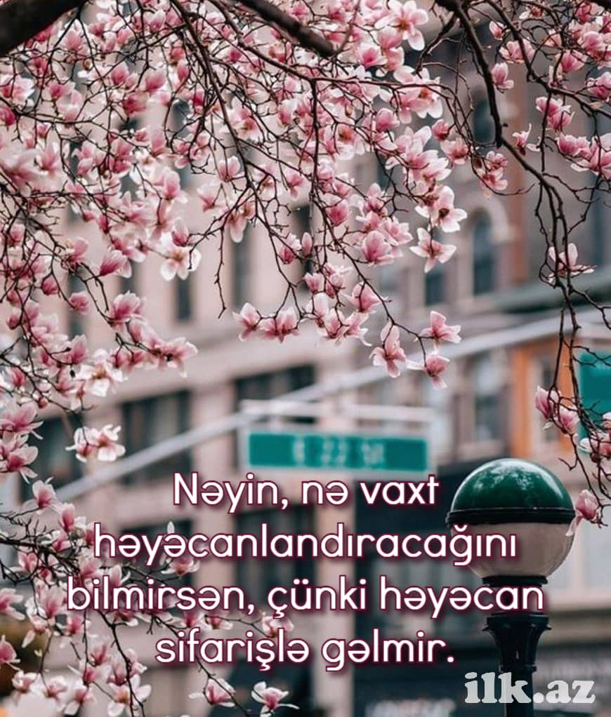 Həyəcanlanlı sevgi sözləri