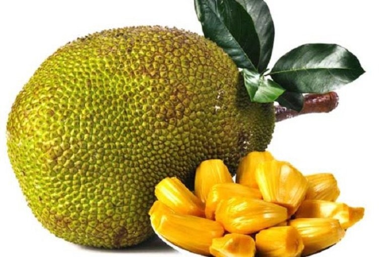 Jack Fruit