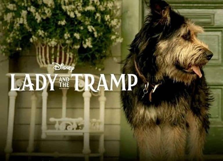 Lady and the Tramp