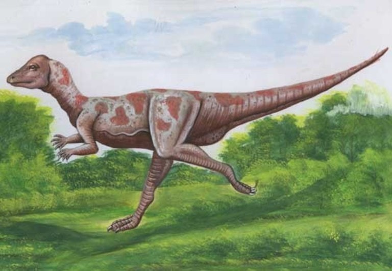 Mikropaxisefalozaur