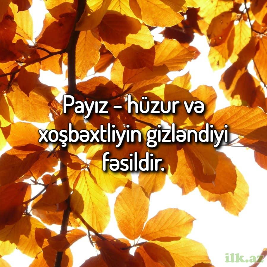 Payız fəsli haqqında sözlər