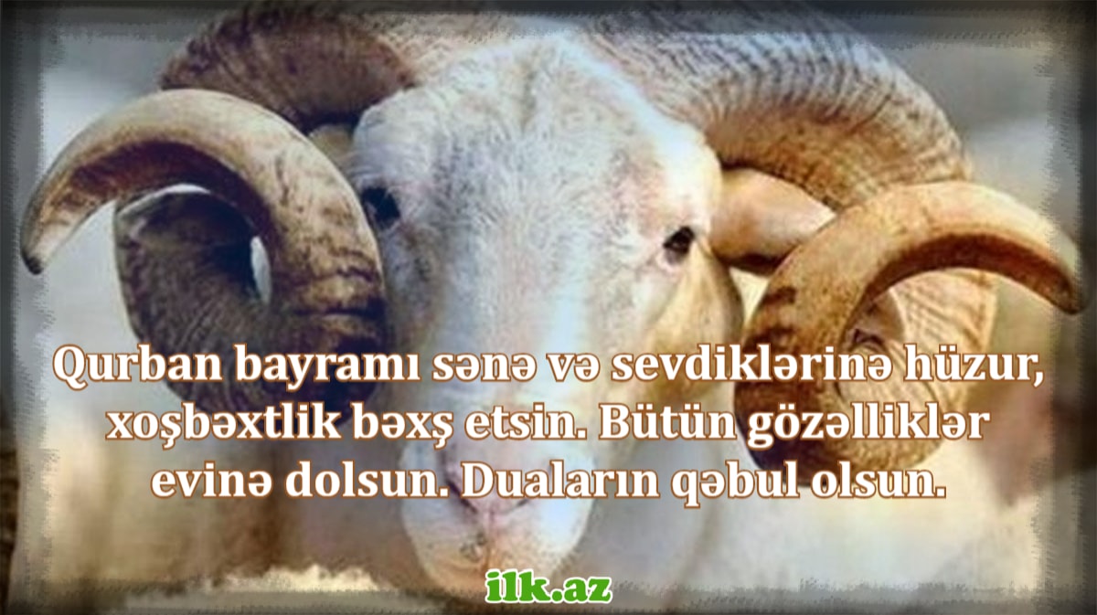 Qurban Bayramınız Mübarək