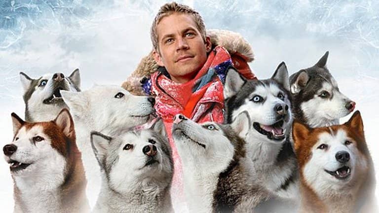 Qütb Macərası - Eight Below