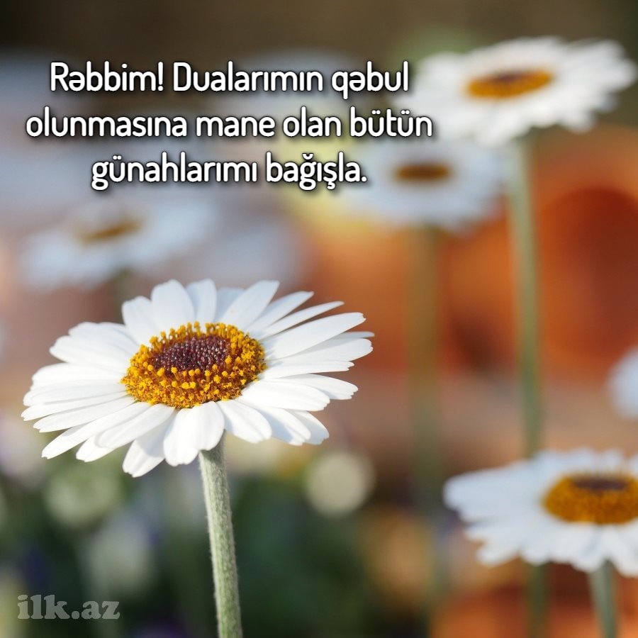 Rəbbim dua