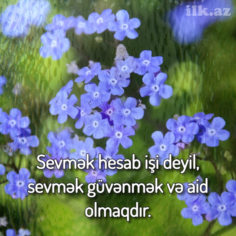 Sevmək hesab işi deyil