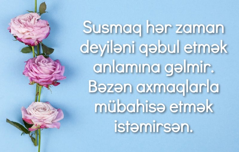 Susmaq hər zaman deyiləni qəbul etmək anlamına gəlmir