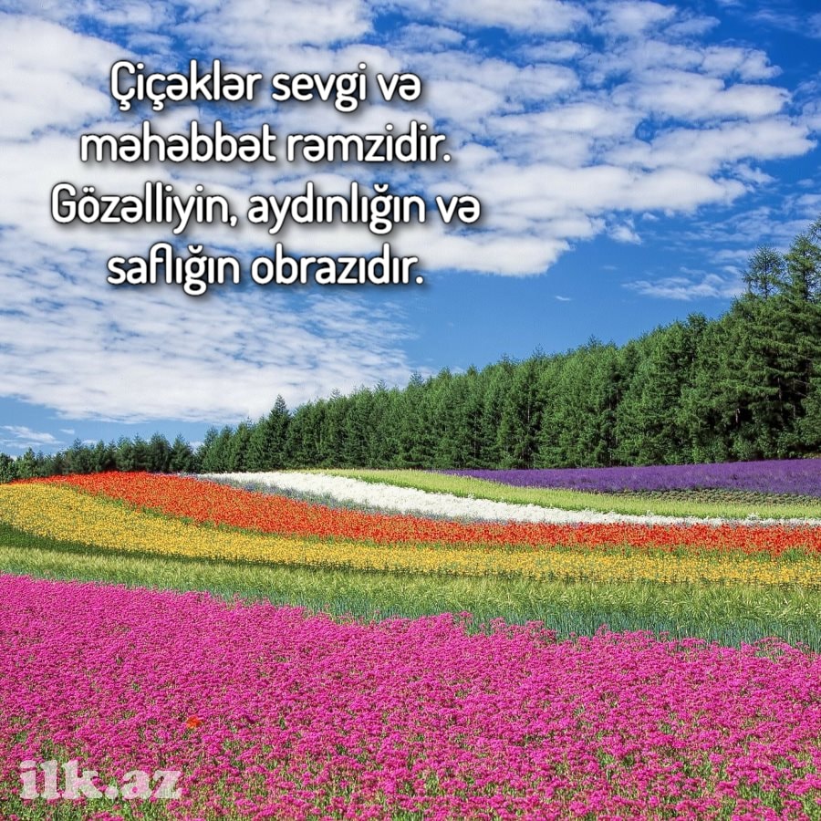 Təbiət haqqında sözlər yazılı şəkil