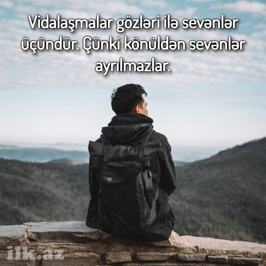 Vida sözləri