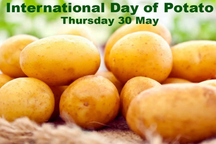 BMT bu gün ilk dəfə Beynəlxalq Kartof Gününü qeyd edir